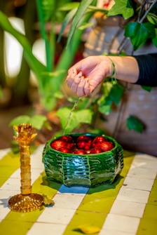 Gallerie Riad Tibibt