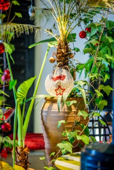 Gallerie Riad Tibibt